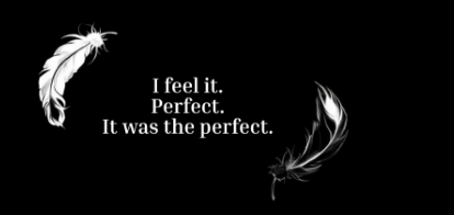 Two original white and black feathers frame Nina’s final words: I feel it. Perfect. It was the perfect.